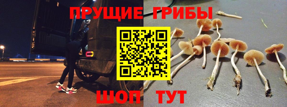 магазин продажи   Вход с VPN  Черняховск  Псилоцибиновые грибы ЛСД 